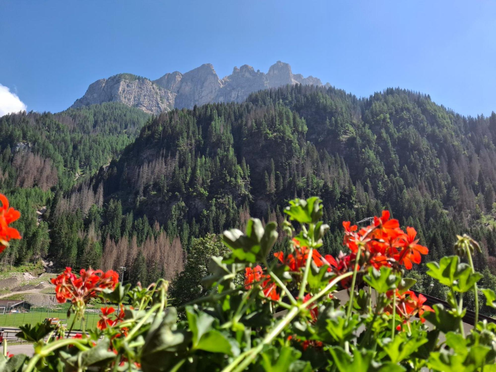 Marmolada Apartamento *